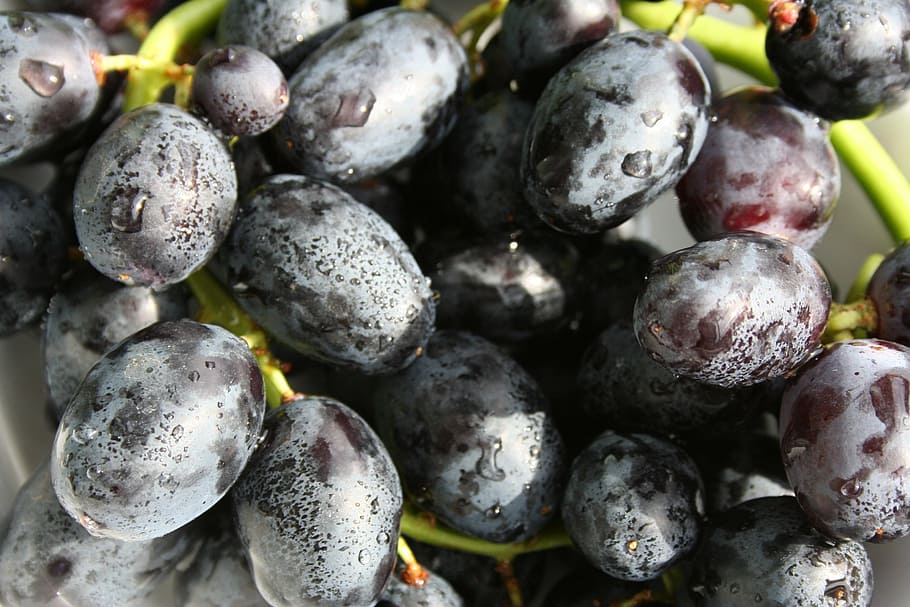 grapes, fruit, black, food and drink, healthy eating, wellbeing HD wallpaper