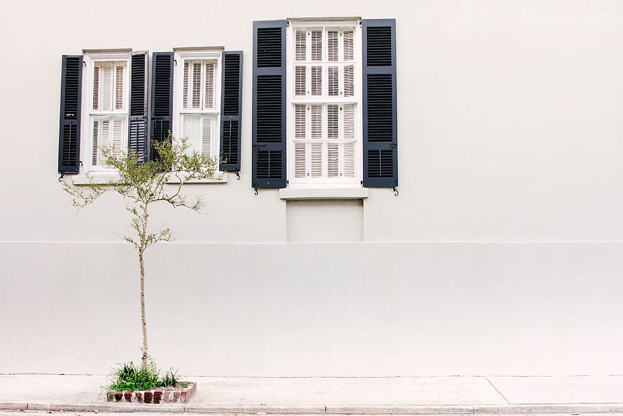 photo of three glass windows with white wooden frames, Charming HD wallpaper