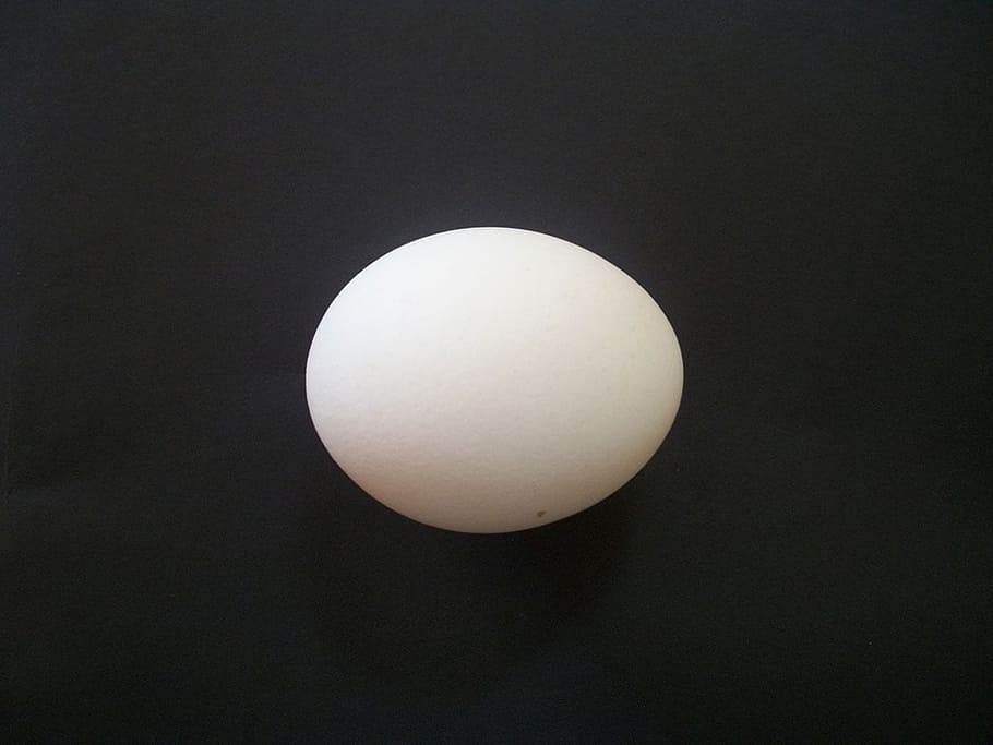 white egg, isolated, chicken egg, food, simple, natural, black and white HD wallpaper