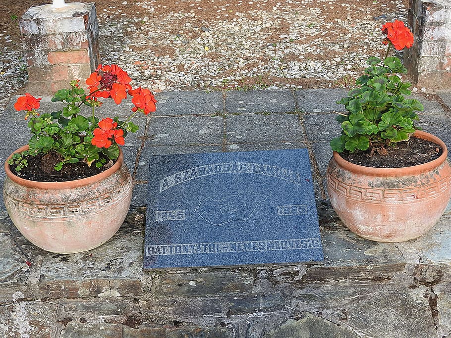 monument, war memorial, potted plant, flower, flowering plant HD wallpaper
