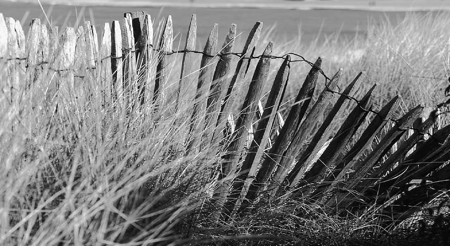seaside, dunes, ocean, beach, sand, shore, summer, nature, france HD wallpaper