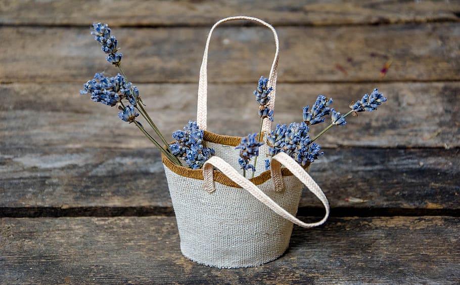 blue lavender flowers in white-and-brown tote bag, basket, composition