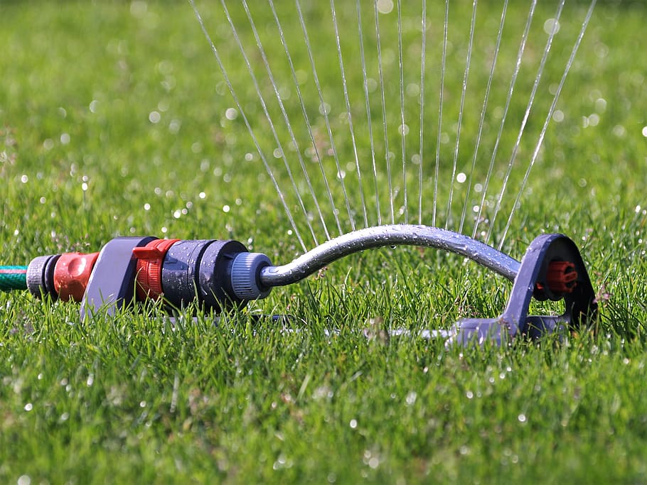 red and black lawn watering, Sprinkler, Water, Hose, Connection