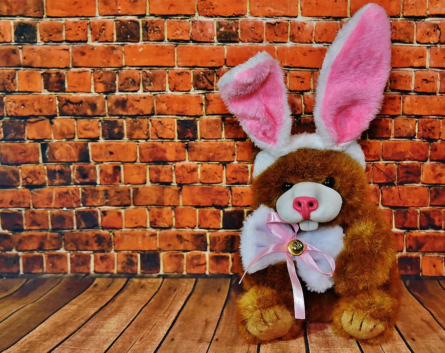 Easter, Rabbit Ears, funny, teddy, happy easter, easter bunny HD wallpaper