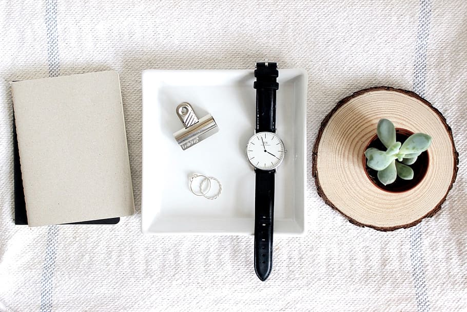 round silver-colored analog watch near potted green succulents HD wallpaper