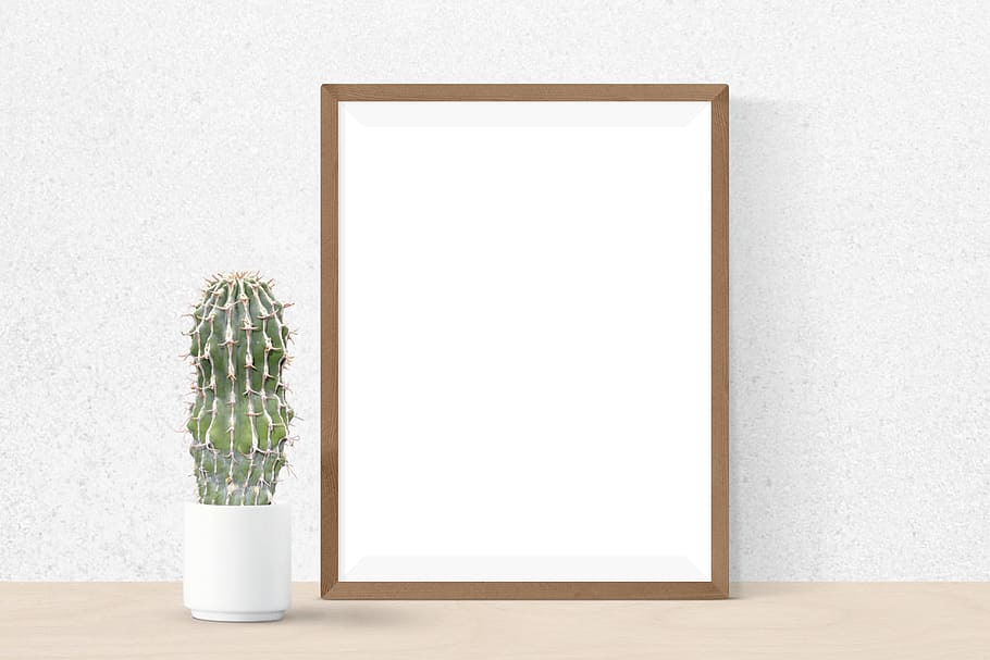 green cactus on white ceramic cup, poster, mockup, interior HD wallpaper