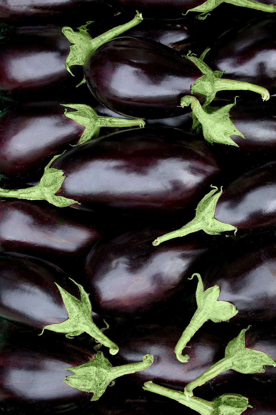 eggplant lot, products, food, vegetable, fruit, greet, aubergine