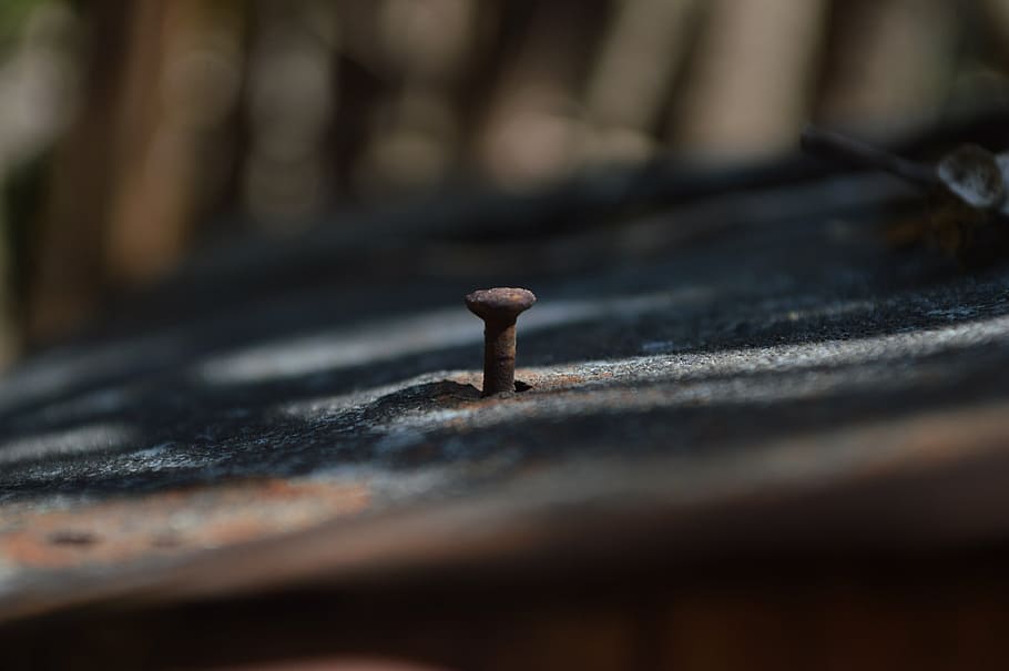 rust, nail, old, selective focus, no people, day, metal, close-up HD wallpaper