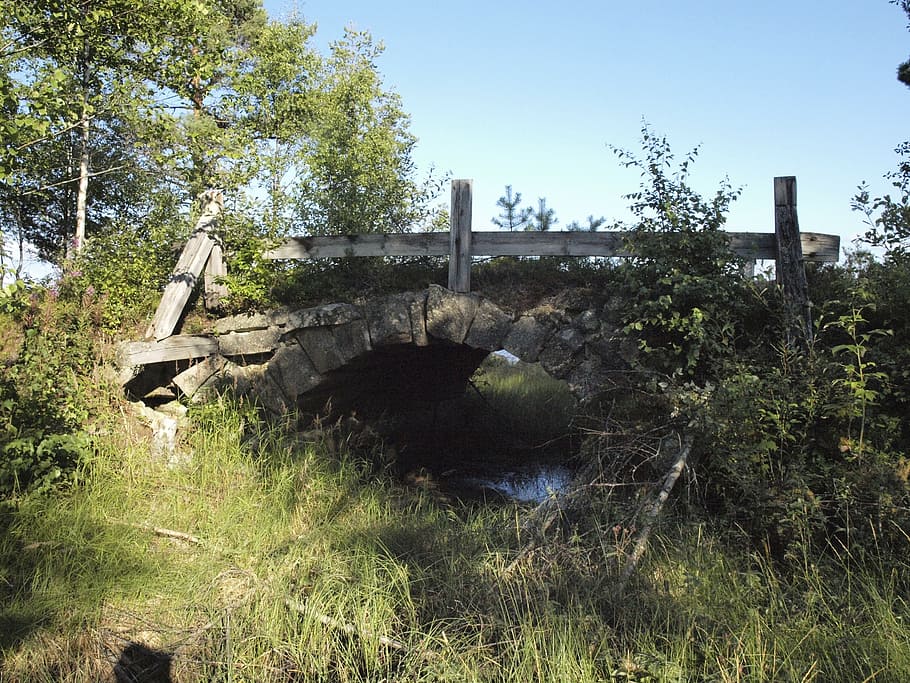 bridge, ruin, sweden, plant, tree, nature, sky, no people, day HD wallpaper