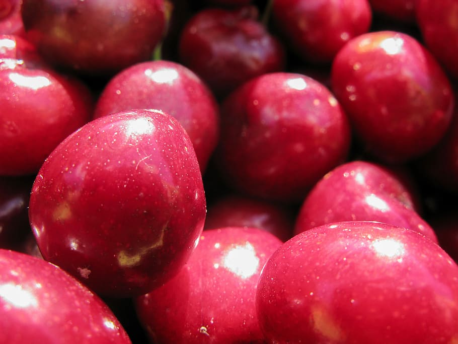 Cherry, Summer, Fruit, Succulent, sunshine, vitamin, nature HD wallpaper