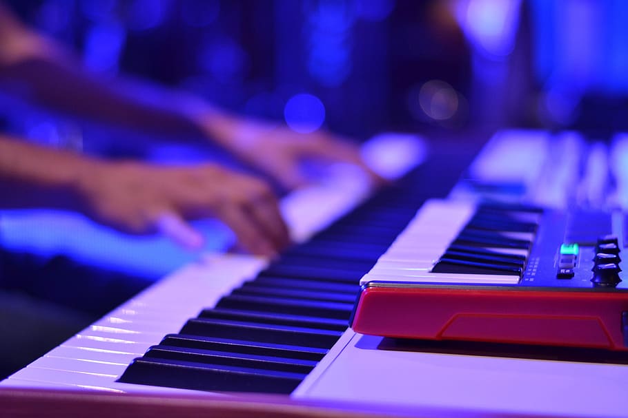 Person playing the keyboard at a music event, people, piano, sound, HD wallpaper