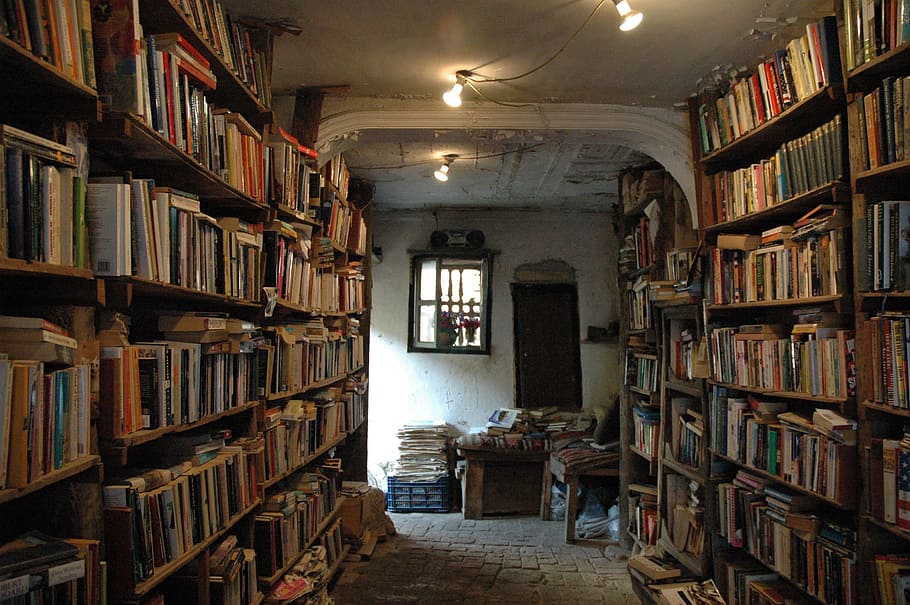 book collection in brown wooden shelves, library, books, syria