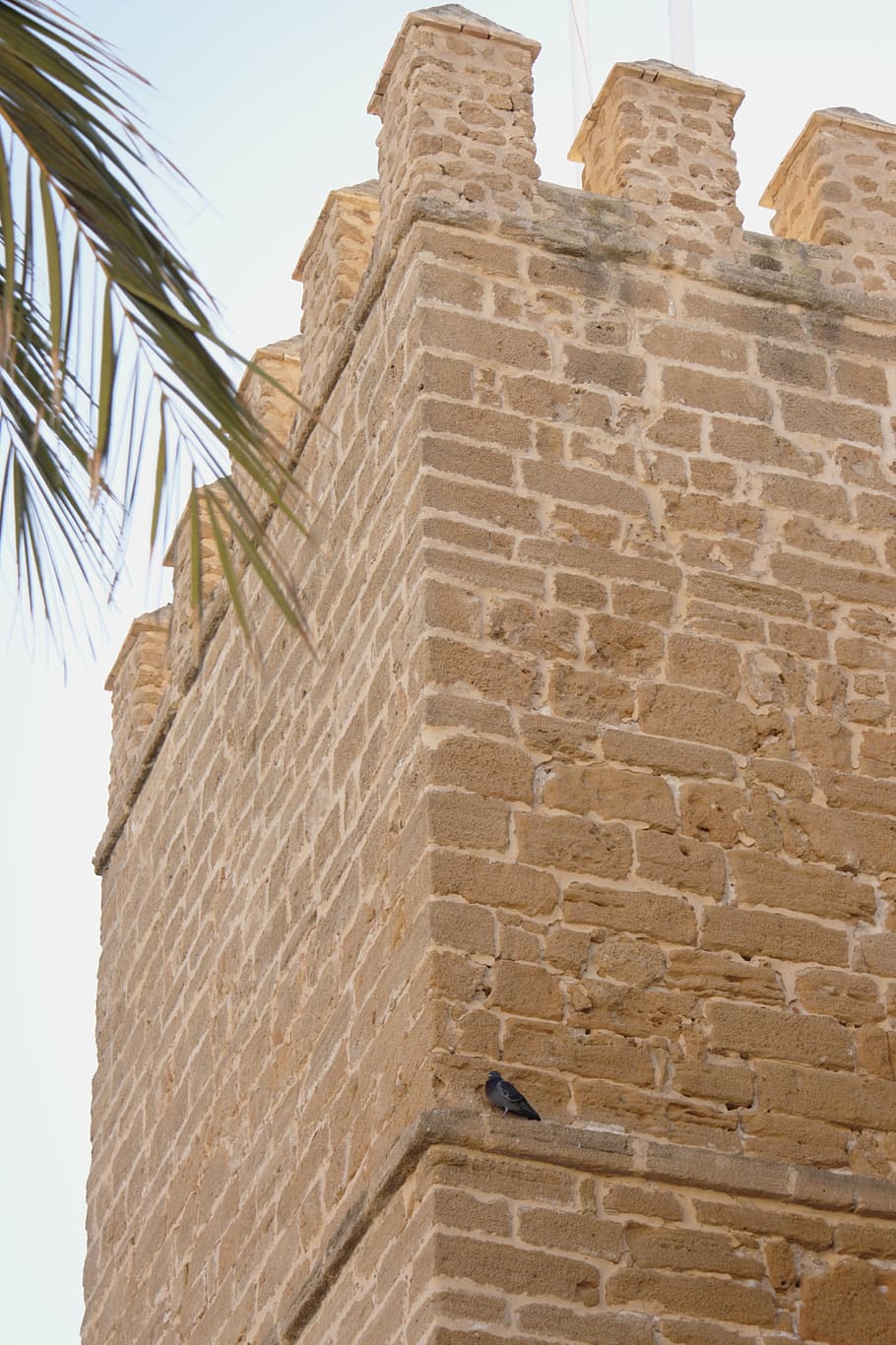 tower, battlement, spain, cadiz, architecture, built structure HD wallpaper