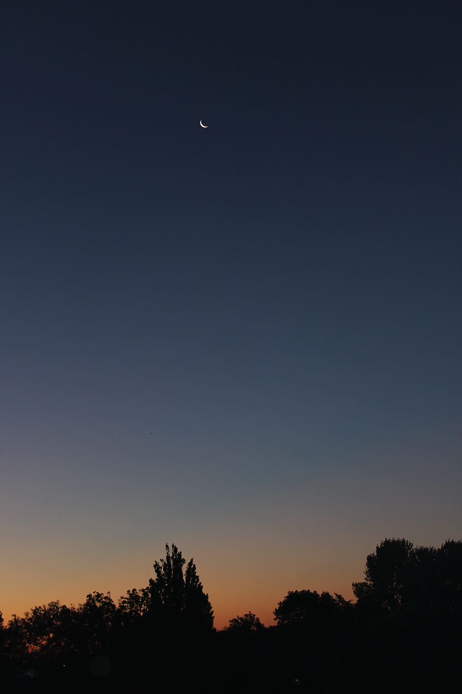silhouette of trees, Night, Sky, Moon, Rest, Sunrise, sunset HD wallpaper