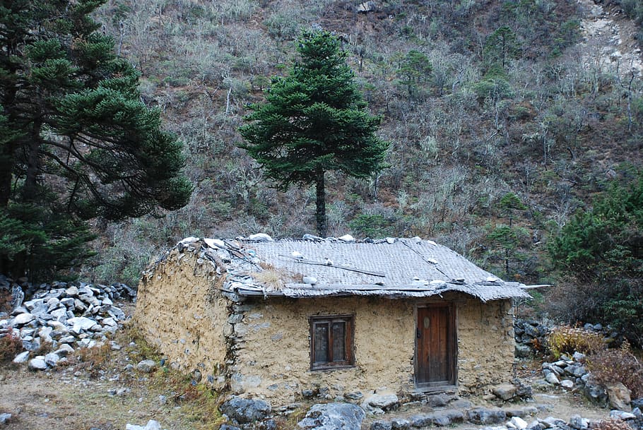 the himalayas, nepal, tree, plant, architecture, built structure HD wallpaper