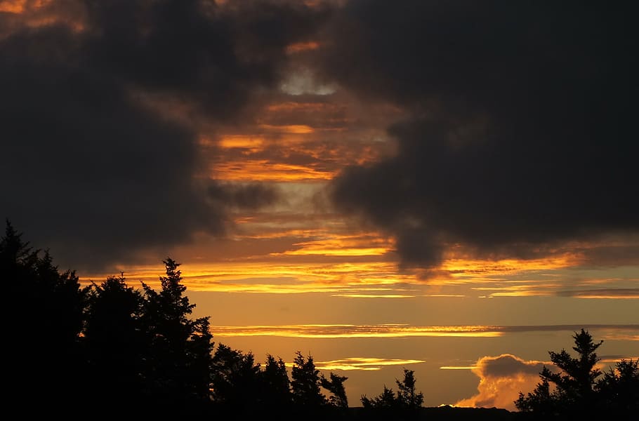 sunset, trees, landscape, nature, sky, evening, silhouette HD wallpaper