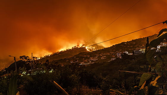 burning building at nighttime, burning forest near houses, fire HD wallpaper
