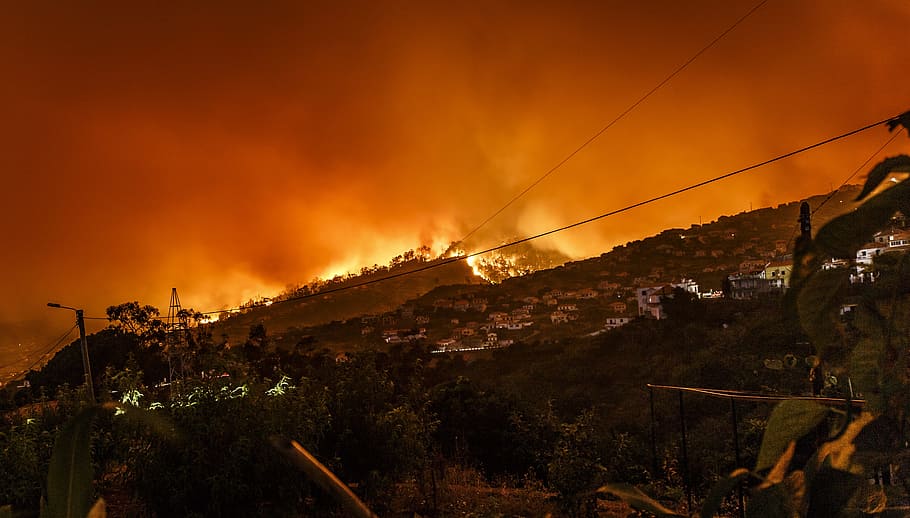 burning building at nighttime, burning forest near houses, fire HD wallpaper