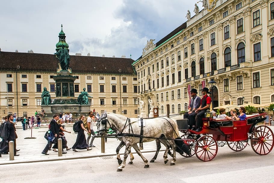 HD wallpaper: group of people riding horse carriage during daytime, vienna | Wallpaper Flare