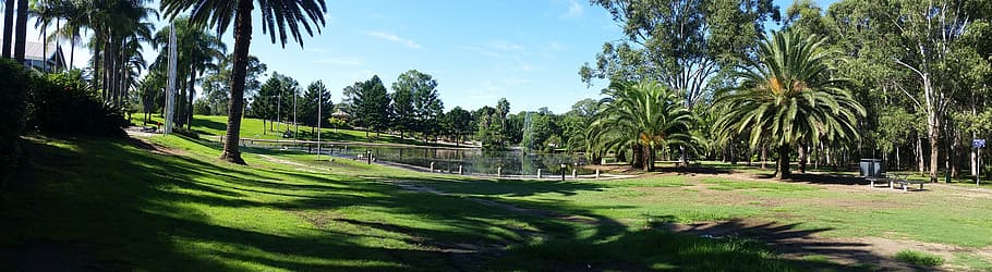 pond, park, grass, trees, blacktown, nsw, australia, water HD wallpaper