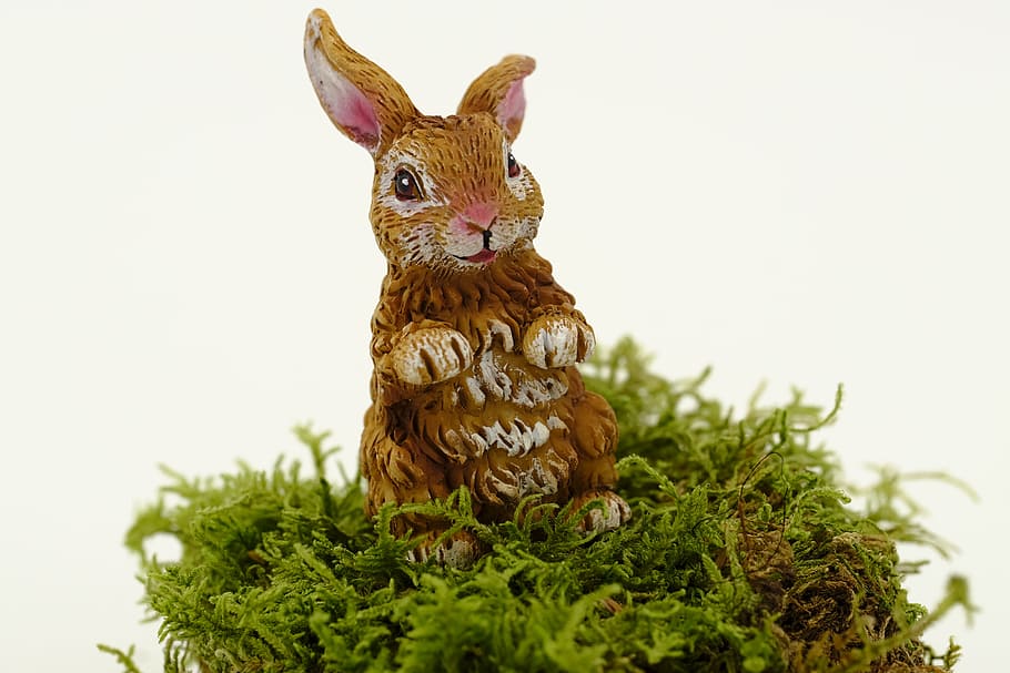 easter, easter bunny, easter celebration, hare, osterkarte HD wallpaper
