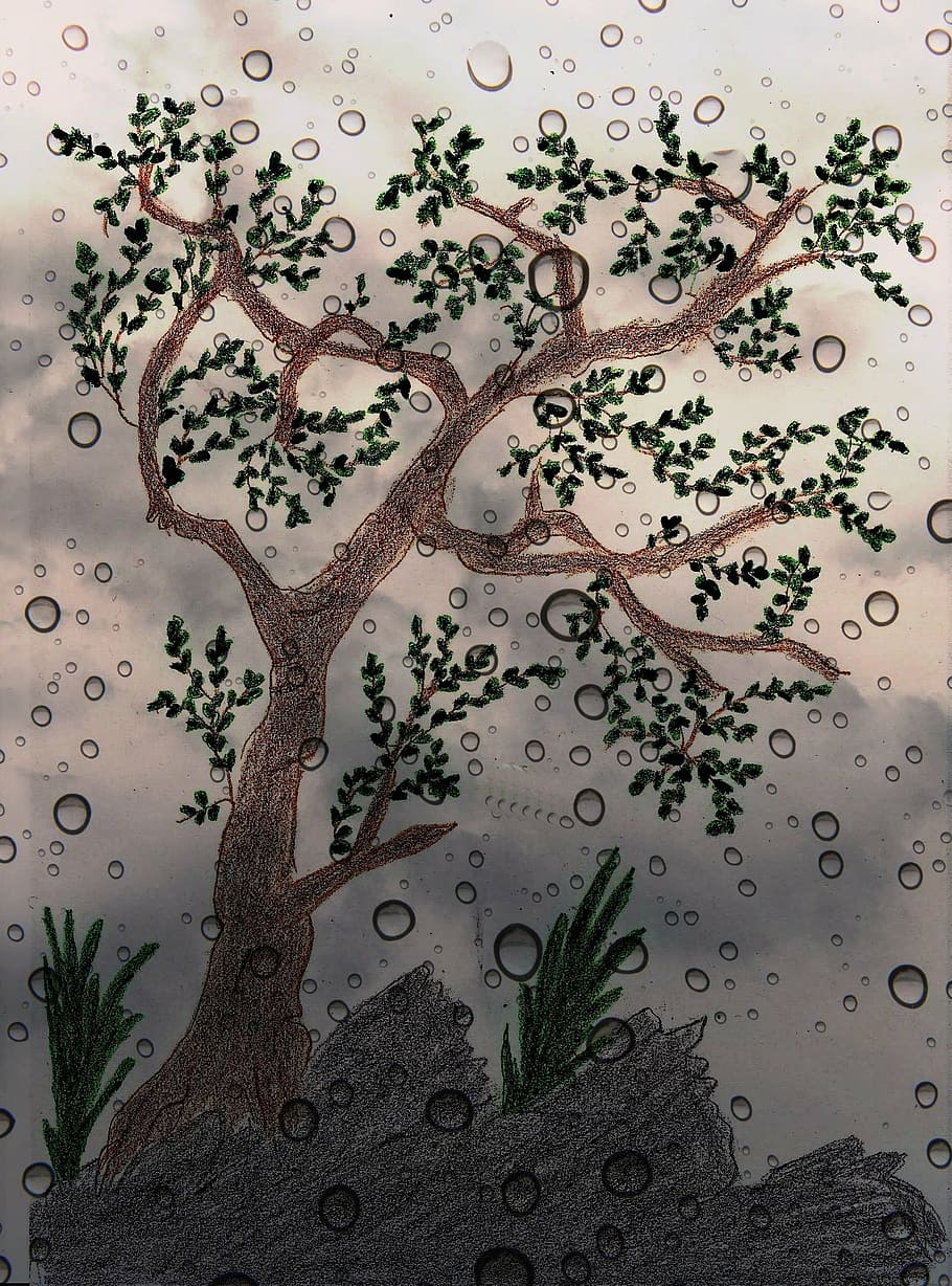 tree, painted, drawn, digital, rain, nature, plant, indoors HD wallpaper