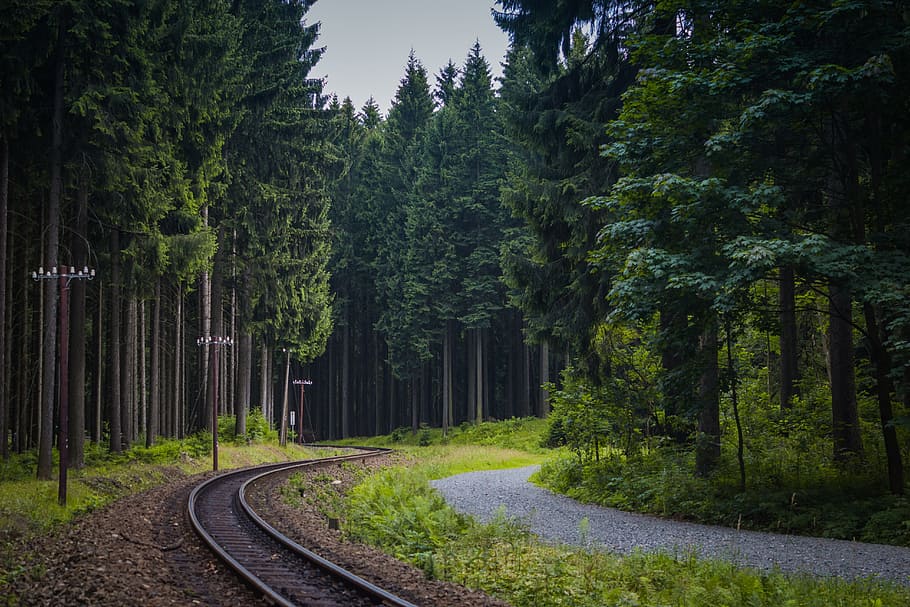 train rail between trees, track, forest, germany, path, narrow-gauge railway HD wallpaper
