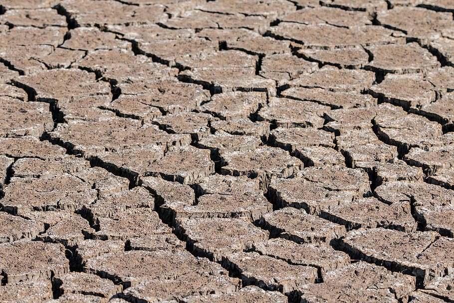 photo of drought, ground, cracks, dehydrated, dry, swamp, landscape HD wallpaper