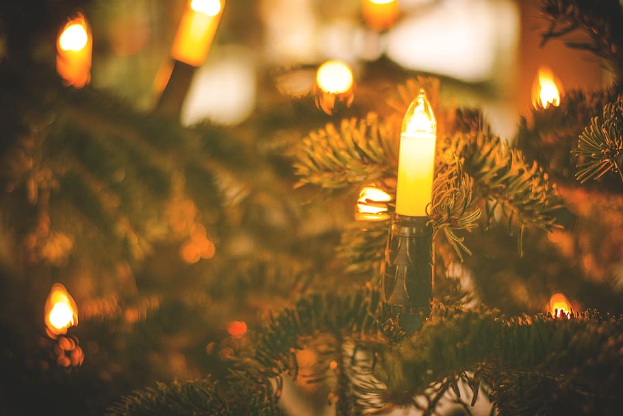 christmas, tree, lights, decor, holiday, season, blur, celebration HD wallpaper