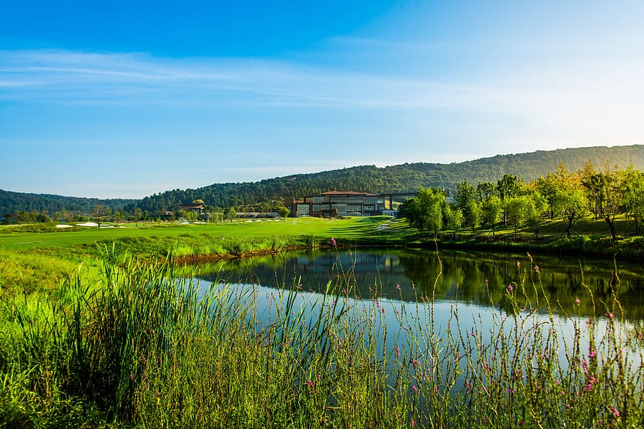 Golf, Blue Sky, White Cloud, green, nature, scenics, lake, landscape HD wallpaper