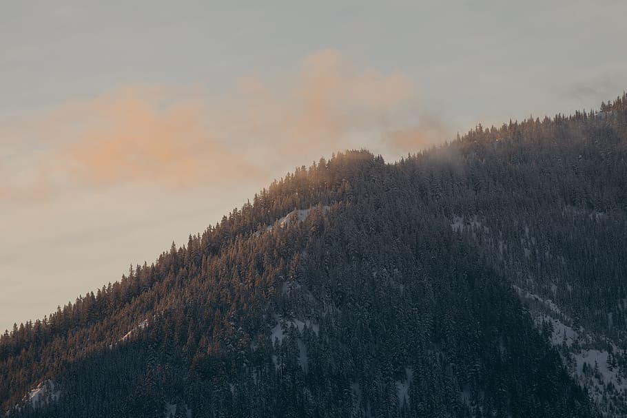 green mountain during dautime, brown and green mountain during sunset HD wallpaper
