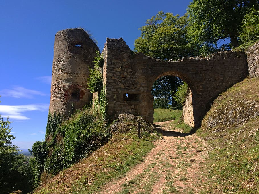 green leafed trees, ferrette, alsace, castle, input, middle ages HD wallpaper