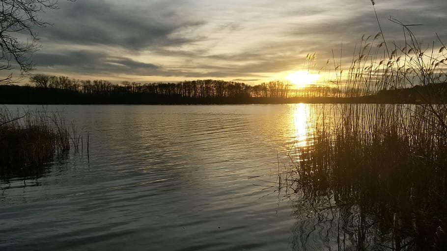 werder, havel, sun, plessow, lake, landscape, water, sunset HD wallpaper