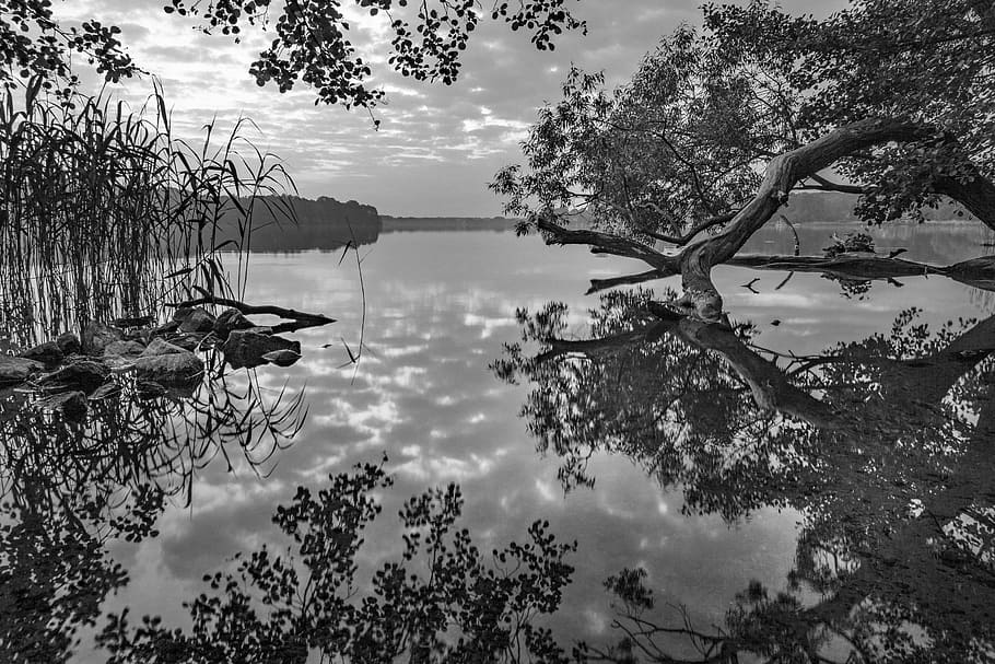 grayscale photography of body of water, lake, idyll, idyllic, HD wallpaper