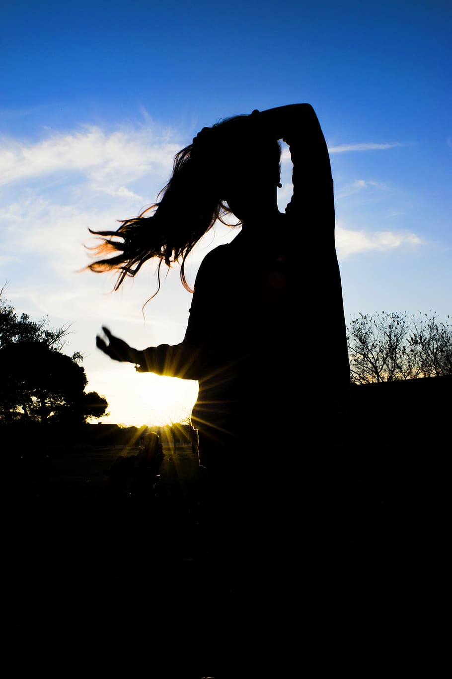 silhouette, sky, sun, trees, landscape, sunset, clouds, light HD wallpaper
