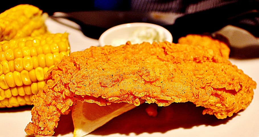 outback, steak, khobar, fish, fillet, food, lemon, hot, saudi HD wallpaper