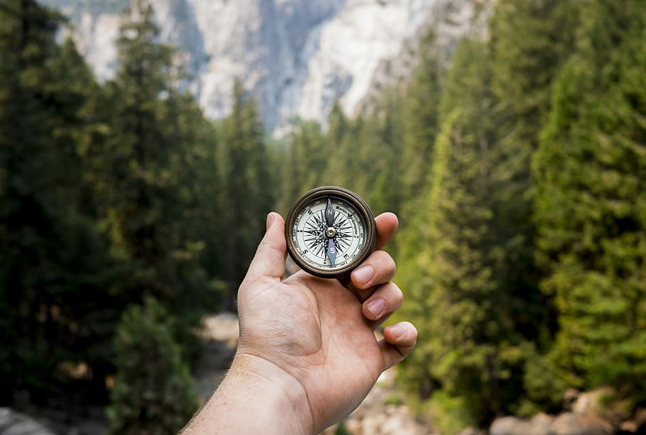 person holding compass facing towards green pine trees, selective photography of person holding brass compass HD wallpaper