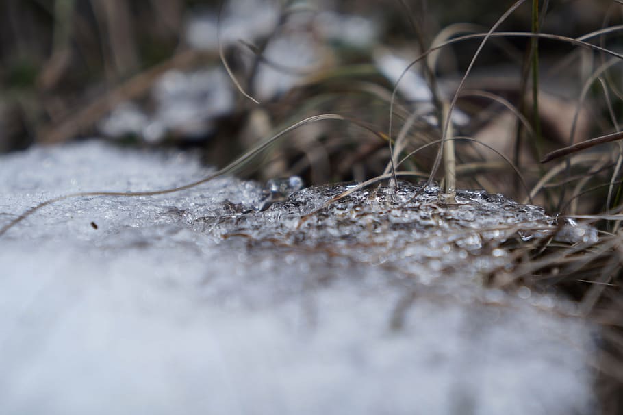 snow, macro, grass, nature, selective focus, close-up, no people HD wallpaper