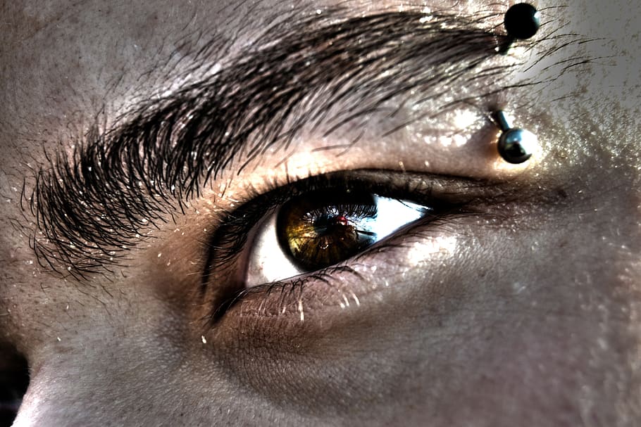 eye, eyebrows, algae, face, one, close-up, sensory perception HD wallpaper