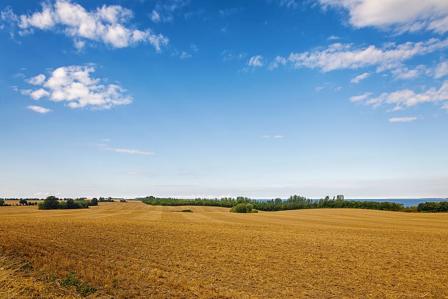 landscape, nature, sky, clouds, agriculture, arable, cornfield HD wallpaper
