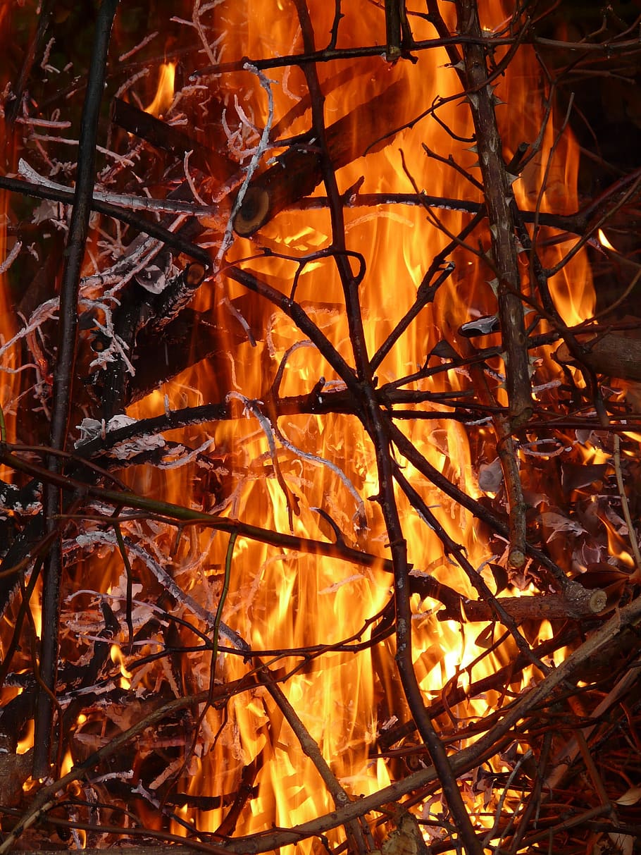 Fire, Flame, Brand, Burn, Firelight, embers, hot, branches HD wallpaper