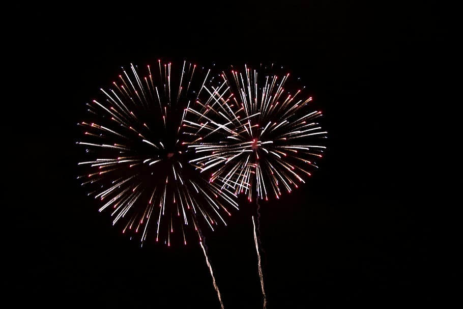 fireworks display, still, light, show, flames, slow, shutter HD wallpaper