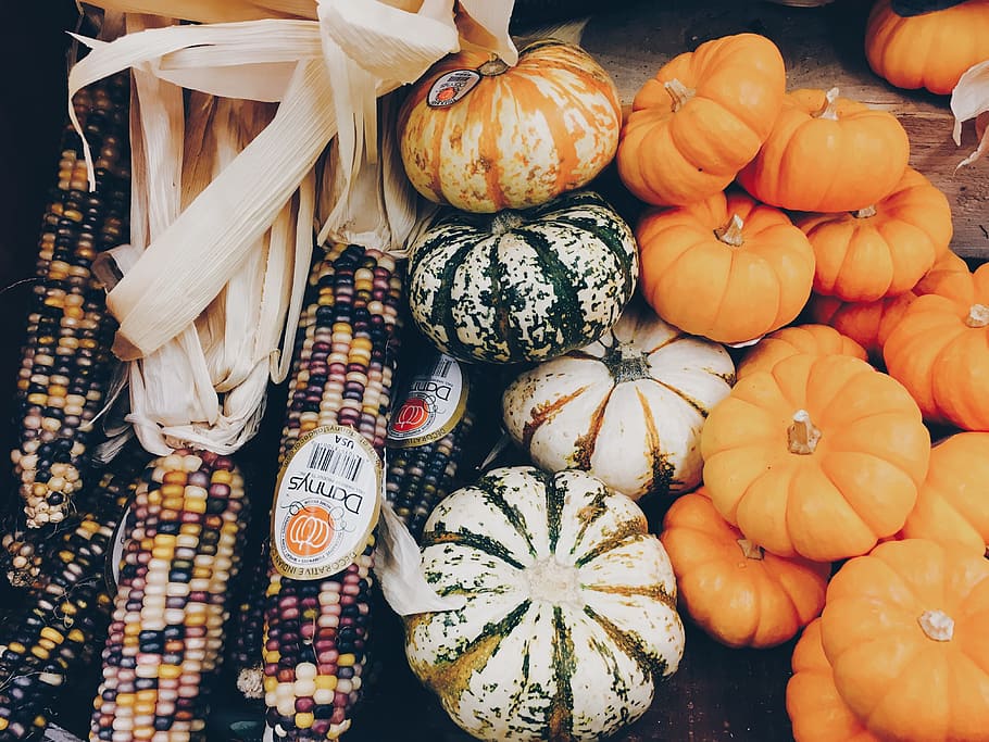 corn, fresh, pumpkins, squash, vegetable, food, food and drink HD wallpaper