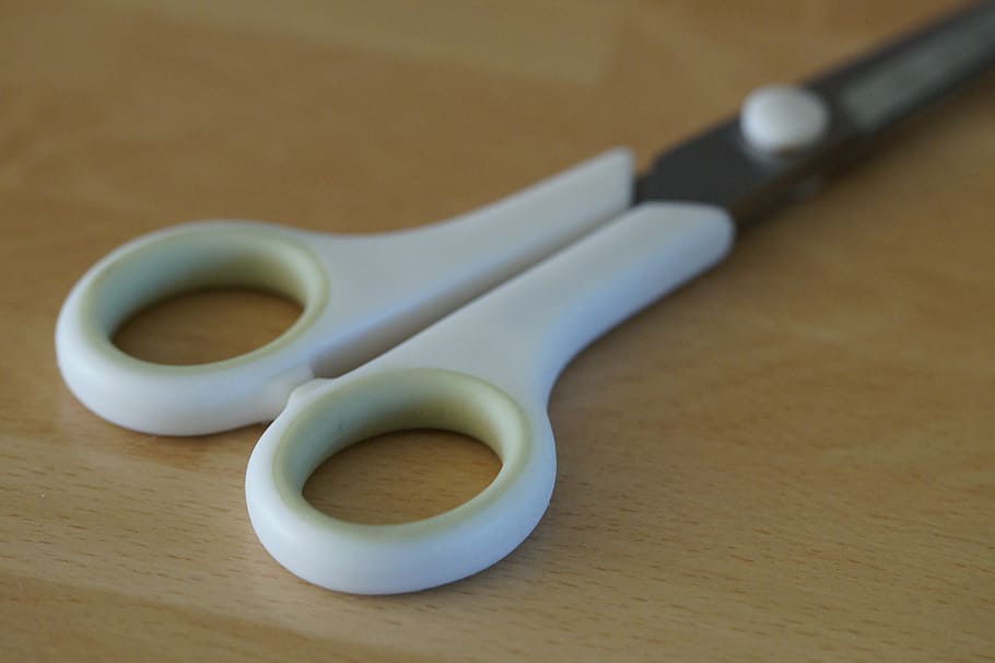 scissors, handle, kitchen scissors, craft scissors, cut, indoors HD wallpaper