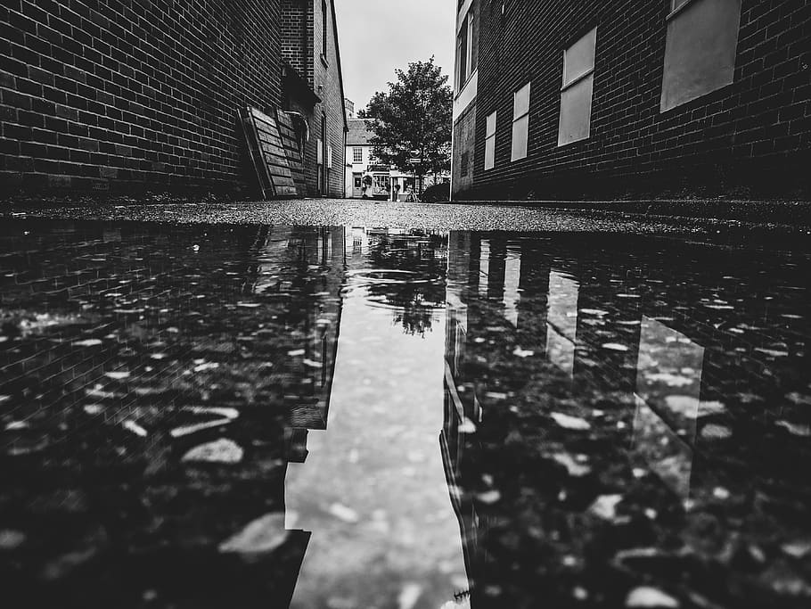 grayscale photo of water beside buildings, puddle, wet, reflection HD wallpaper