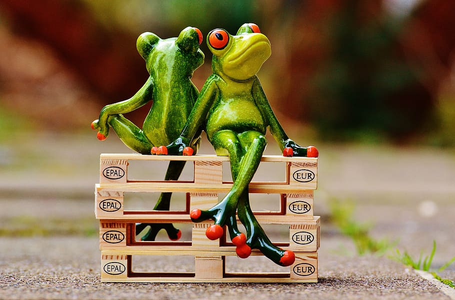 friends, sit, pallets, frogs, euro pallets, rest, break, funny HD wallpaper