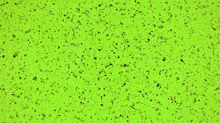 wallpaper, background, backgrounds, full frame, green color HD wallpaper