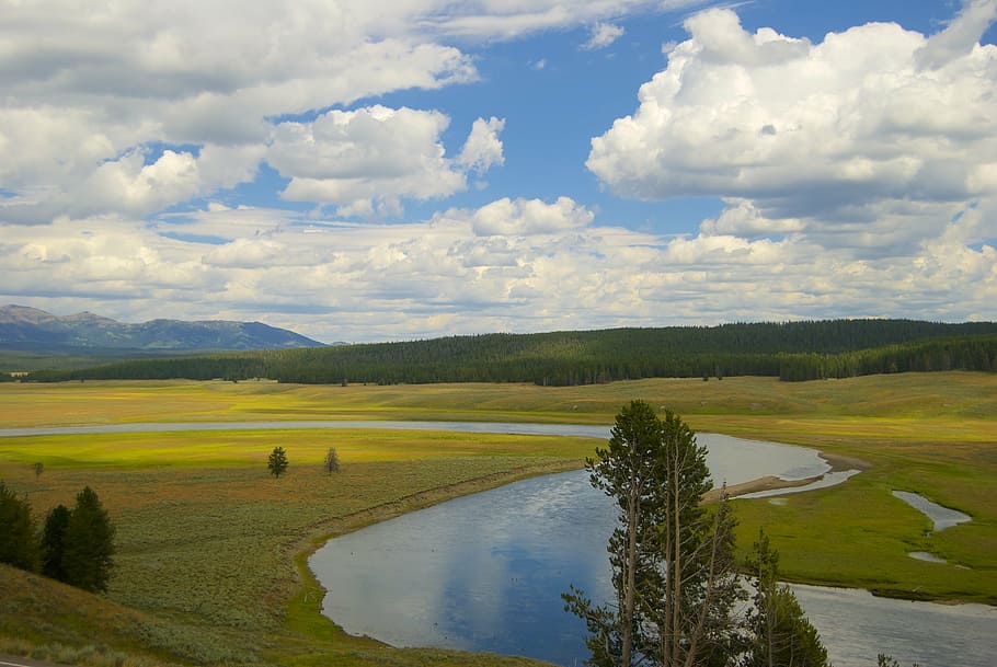 river, landscape, valley, yellowstone, water, park, environment