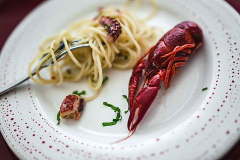 Fancy dinner with seafood pasta, crayfish and red wine by the table decorated with roses HD wallpaper