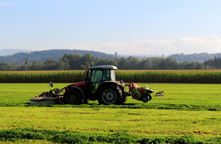 red and black tractor on pasture, mower, cutting machine, bauer HD wallpaper